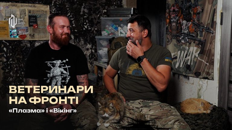 Ветеринари на фронті: як медики 141 ОМБр рятують тварин